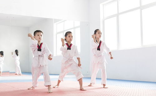 5个技术特点轻松练习跆拳道 A KIDS免费教学体验 只有10个名额哦