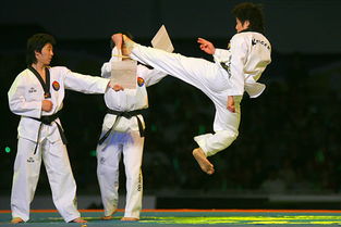 跆拳道世锦赛在京正式开幕 飞身踢板